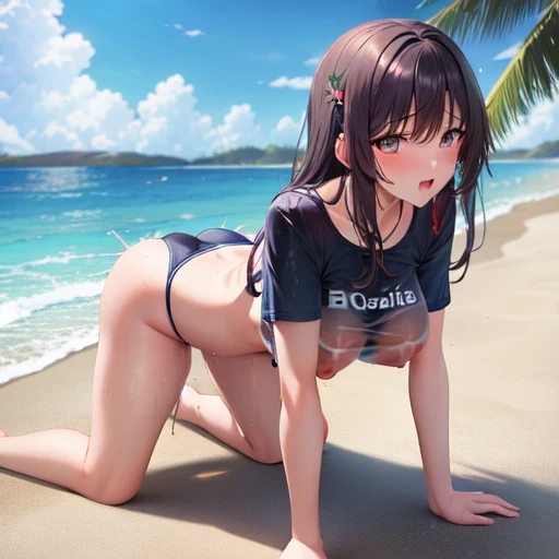 [Holara] 四つん這い 乳首 R18・エロ ビーチ 傑作 水着 ビキニ 濡れた体 立っている シャツ Tシャツ 透け透け 服の上から乳首 [イラスト・二次元]